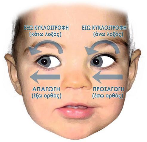 λοξόσ, αλλά από το δακρυικό οςτοφν, που βρίςκεται κοντά ςτθ μφτθ.