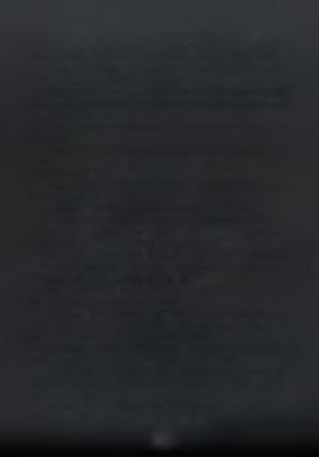Reymann, D, 1997. Der markt fur Baumschulgeholze: 905-919. In: Krussmann, G. Die Baumschule.