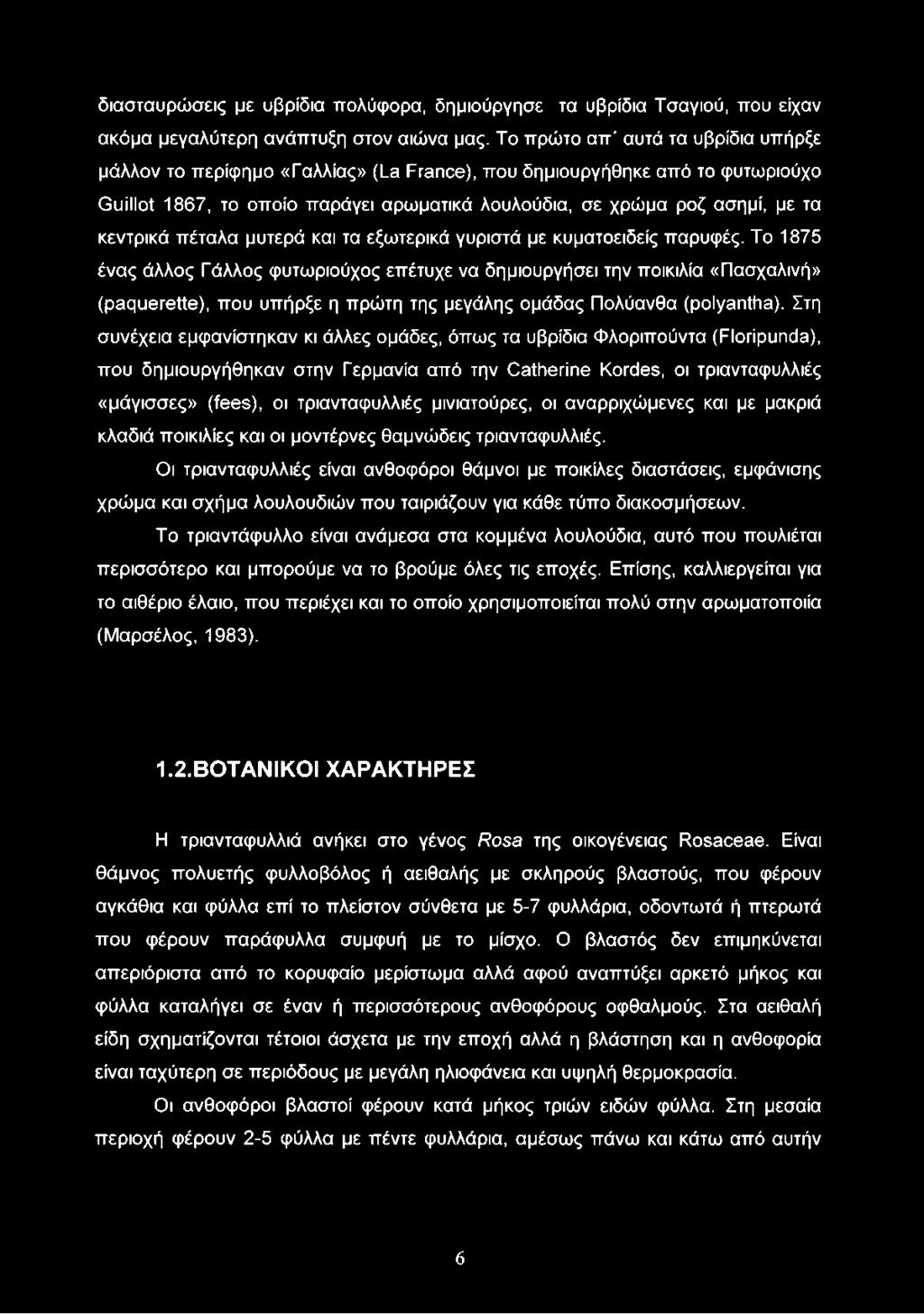 κεντρικά πέταλα μυτερά και τα εξωτερικά γυριστά με κυματοειδείς παρυφές.
