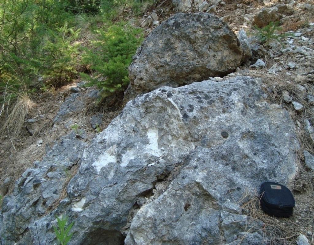 Εικ.8: Λευκού χρώματος κρυσταλλικός ασβεστόλιθος, ο οποίος περιέχει βιτουμένια με χαρακτηριστική οσμή κατά την θραύση του. 4.4.2 Χαρακτηριστικά Ασβεστολίθων Κρητιδικής ηλικίας της ζώνης Πίνδου ((Ν.