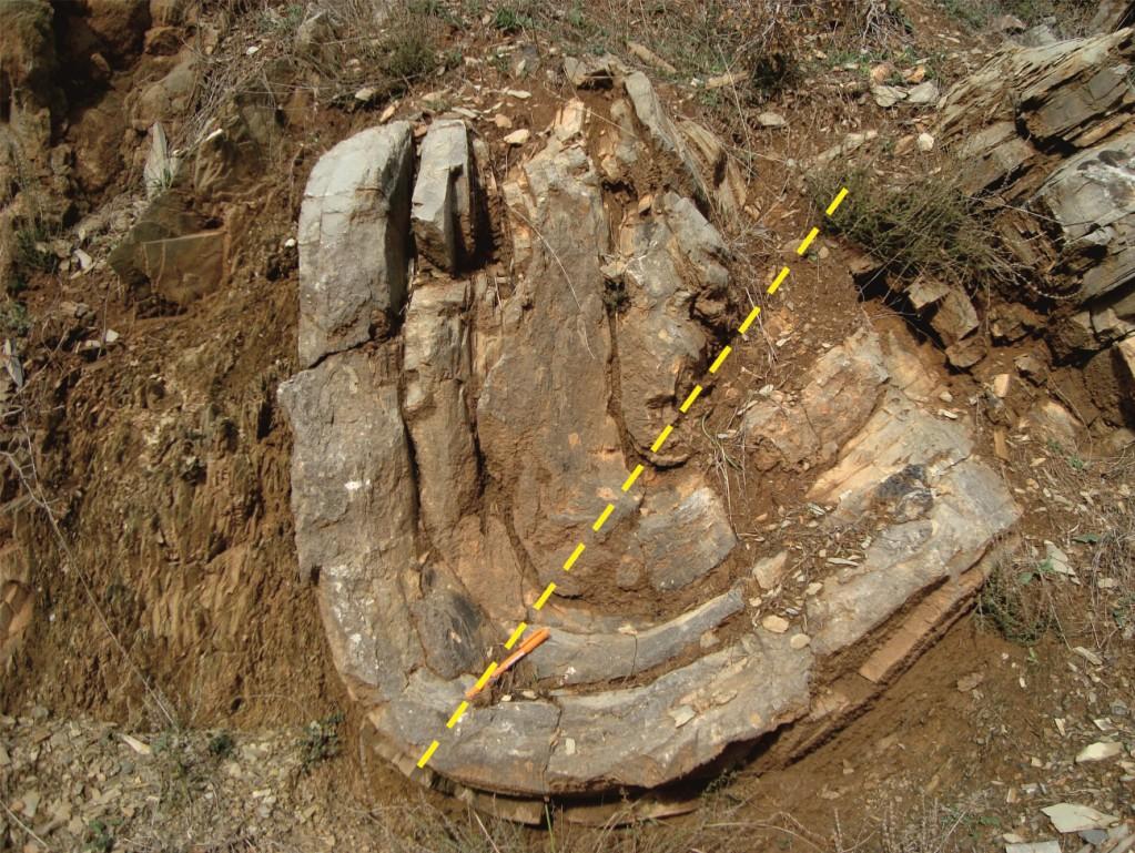 Όσον αφορά τους λεπτοκρυσταλλικούς ασβεστόλιθους, το χρώμα των οποίων ποικίλει από υπόλευκο, ανοιχτό κίτρινο, ερυθρό έως τεφρό, εμφανίζονται συνήθως λεπτοπλακώδεις με πάχη στρωμάτων από 5 έως 15 cm,