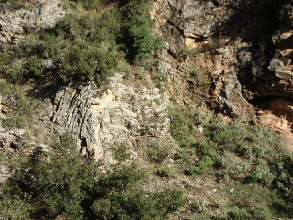 Εικ.11: Έντονα πτυχωμένοι ανοιχτού