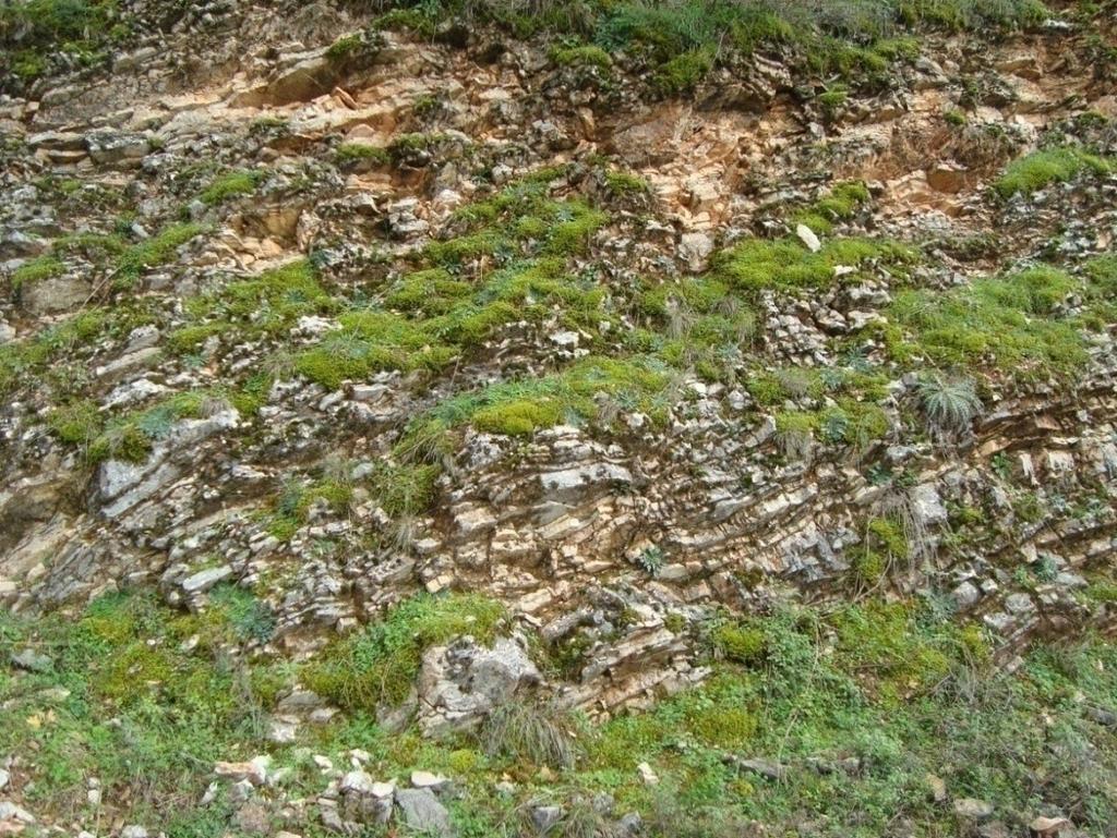 Εικ.19: Εναλλαγές τεφρού κρυσταλλικού με υπόλευκου λεπτοκρυσταλλικού ασβεστόλιθου. ΚΕΦΑΛΑΙΟ 5 5.