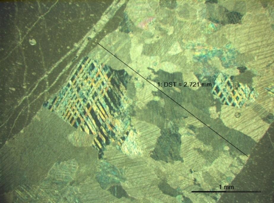 (1959) είναι sparse biomicrite