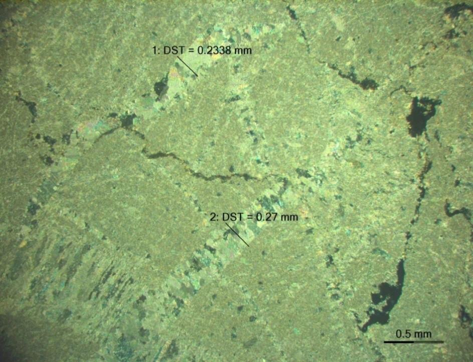 Dunham είναι Wackestone ( ιλυοστηριζόμενο