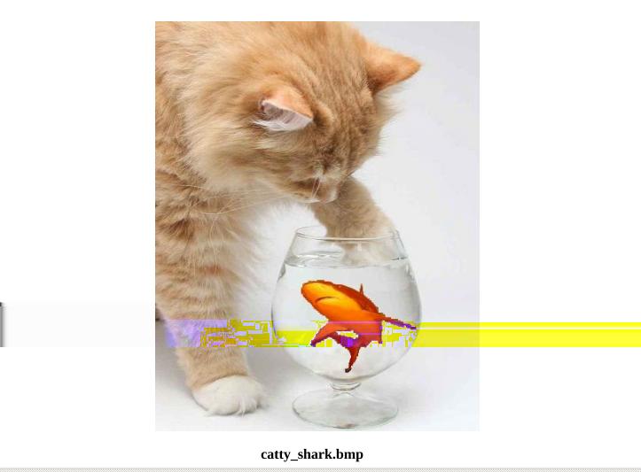 8. Δ. Αποθηκεύστε τη νέα εικόνα που θα προκύψει στον ίδιο φάκελο, με όνομα catty_shark.bmp.