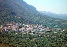 νήσος Χρυσή, το δάσος του Σελακάνου που είναι το μεγαλύτερο και το σπουδαιότερο στην Κρήτη.