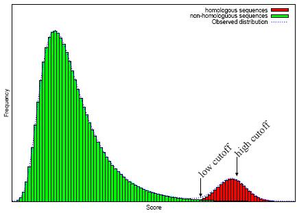 Position Specifc Scoring Matrix (PSSM) 8/10 Κατανομή των scores του PSSM σε τυχαίες ακολουθίες