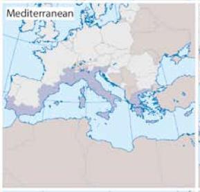 Διιάδα, θαζψο θαη πεξηθέξεηεο ηεο Ηηαιίαο 124, Βνζλίαο θαη Δξδεγνβίλεο, Μαπξνβνπλίνπ, Αιβαλίαο, εξβίαο θαη ινβελίαο.