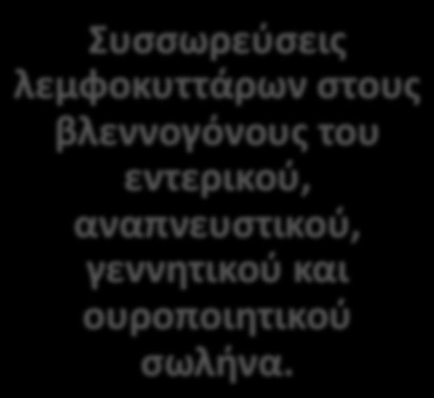 στους