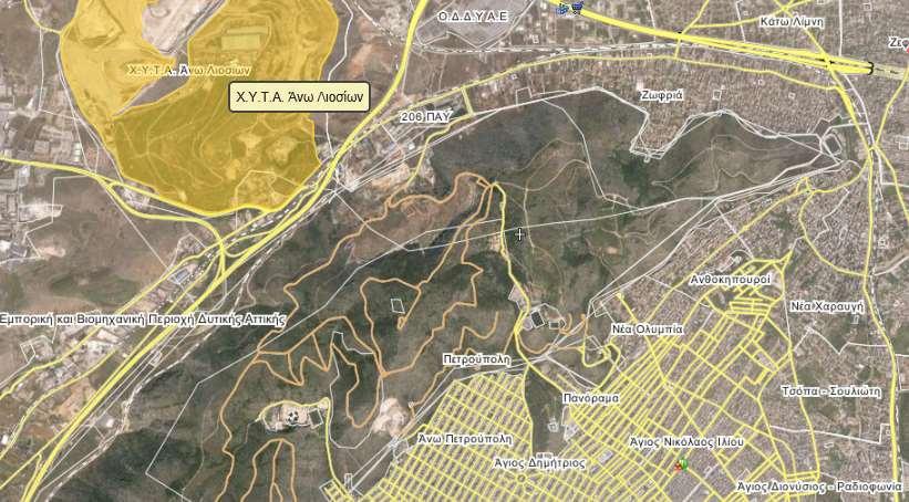 Η Πετρούπολη σήμερα έχει 15 νηπιαγωγεία, 11 δημοτικά, 6 γυμνάσια, 5 λύκεια, 1 Επ