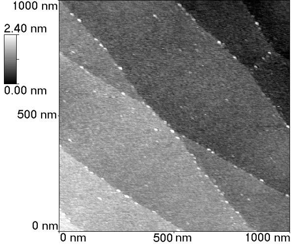 Interaction forces with tuning-fork-based AFM $+, / #/ /-8/.4+6+ /8/6732-+28 /:/6+2.892 21036,+7/. 7/27364+6+ /8/67 34/6+8 21-32. 8 327 -+28 /:/6 892 21036 -+28 /:/6 892 21036 6/7 2 2!