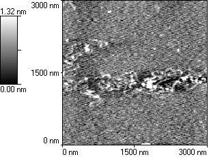 5 Near-field optical microscopy +, -. 196/ + $34316+4 30 µ 321λ Г, 33 232λ Г - 0968 /6 33 2 32λ.