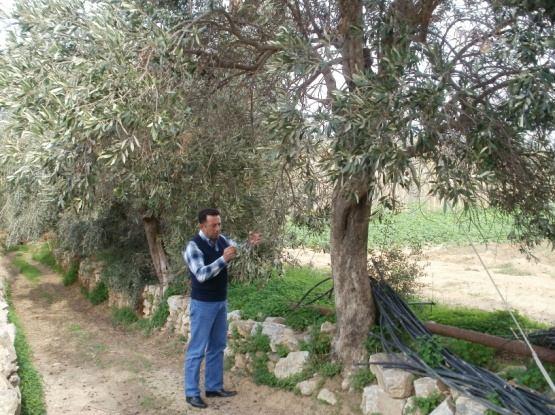 Εξέταση των προβλημάτων σε αγροτικές δραστηριότητες επιτόπια στο χώρο της αγροτικής εκμετάλλευσης (χωράφι, θερμοκήπιο, στάβλος, μελισσοκομείο).