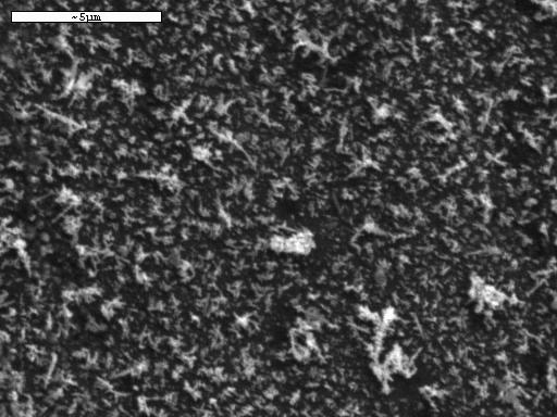 2: Μικρογραφίες SEM (Α) για ηλεκτροαπόθεµα Pb (δυναµικό απόθεσης -0.55 V vs.