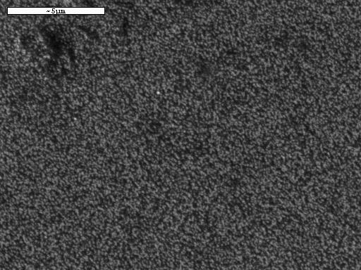 έκθεση του ηλεκτροδίου στον αέρα. 5 µm (Α) 5 µm 5 µm (B) (C) Σχήµα 3.5 : Μικρογραφίες SEM (Α) ηλεκτροαποθέµατος Fe σε GC (δυναµικό απόθεσης -1.15 V vs.