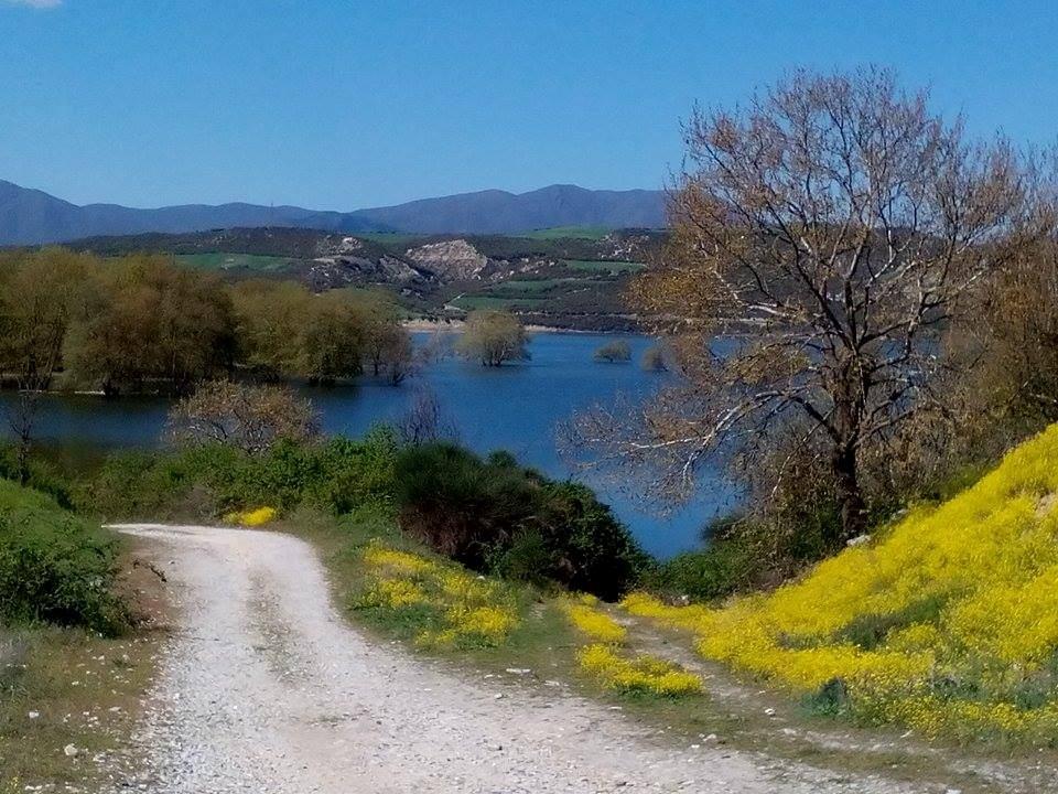 ηλεκτρικής ενέργειας (ΥΗΣ Ιλαρίωνα) της ΔΕΗ.