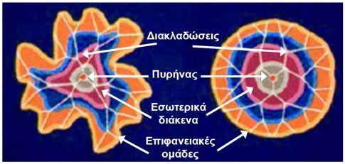 2. Βιβλιογραφική ανασκόπηση 13 W.H.