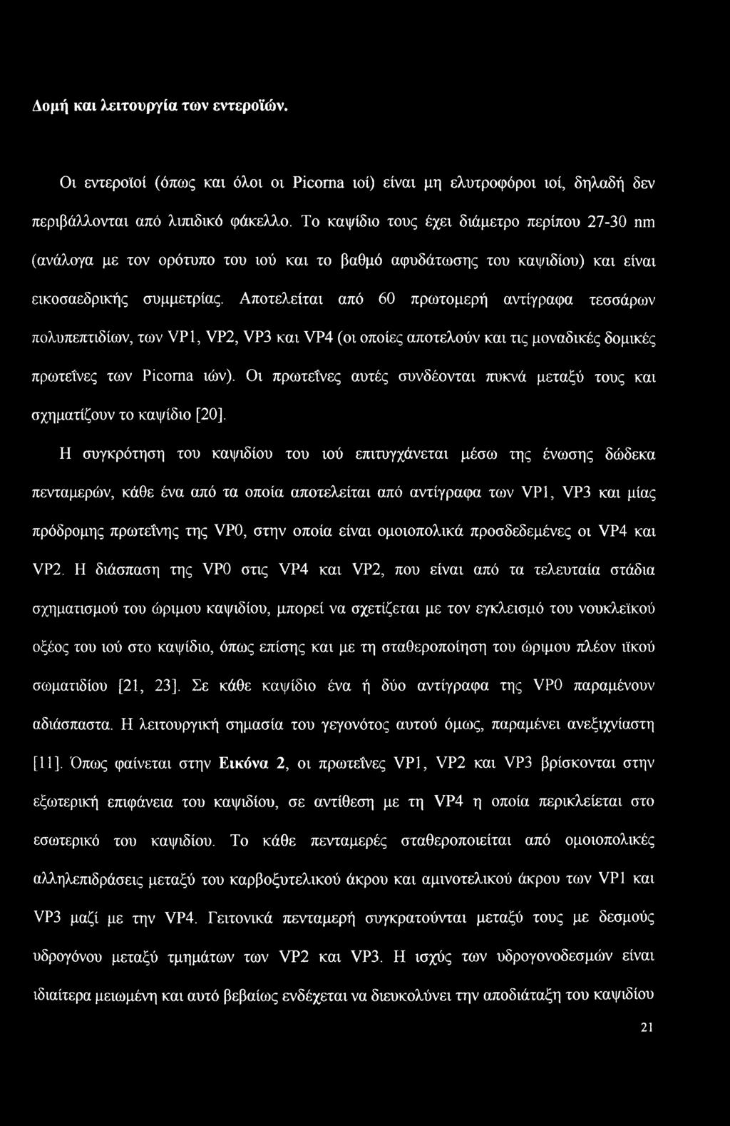 Αποτελείται από 60 πρωτομερή αντίγραφα τεσσάρων πολυπεπτιδίων, των VP1, VP2, VP3 και VP4 (οι οποίες αποτελούν και τις μοναδικές δομικές πρωτεΐνες των Picorna ιών).