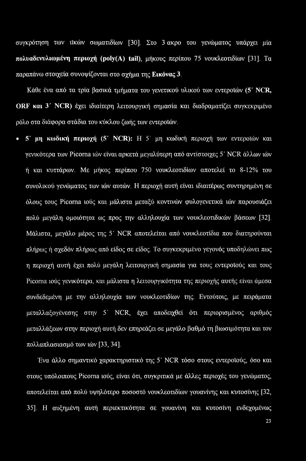 Κάθε ένα από τα τρία βασικά τμήματα του γενετικού υλικού των εντεροϊών (5' NCR, ORF και 3' NCR) έχει ιδιαίτερη λειτουργική σημασία και διαδραματίζει συγκεκριμένο ρόλο στα διάφορα στάδια του κύκλου