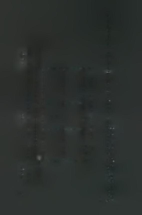 5 ' NCR ORF 3 NCR ir> W rn διακρίνονται τρεις περιοχές: