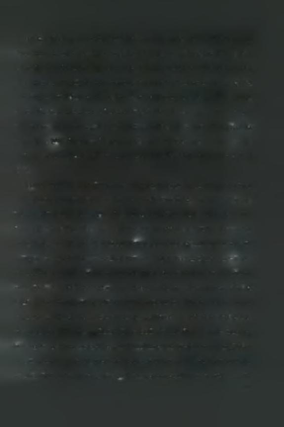 Μόλις το RNA του ιού απελευθερωθεί στο κυτταρόπλασμα, αρχίζει η μετάφραση του γενώματος με τη χρήση των ριβοσωμάτων του κυττάρου.