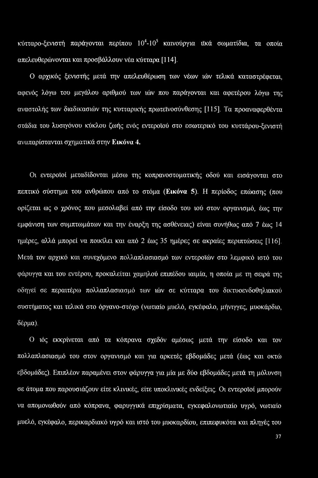 κύκλου ζωής ενός εντεροϊού στο εσωτερικό του κυττάρου-ξενιστή αναπαρίστανται σχηματικά στην Εικόνα 4.