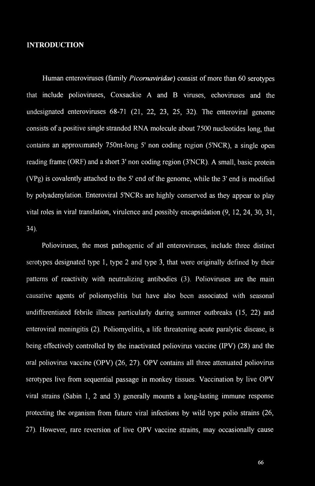 The enteroviral genome consists of a positive single stranded RNA molecule about 7500 nucleotides long, that contains an approximately 750nt-long 5' non coding region (SNCR), a single open reading