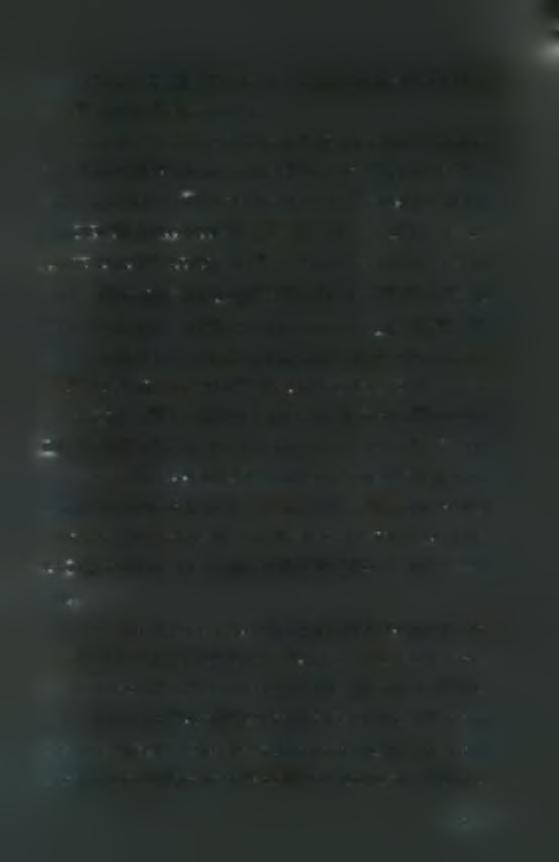 amplification analysis. Virally infected cell culture supernatants were used as an alternative source of viral RNA templates. Oligonucleotide primers.