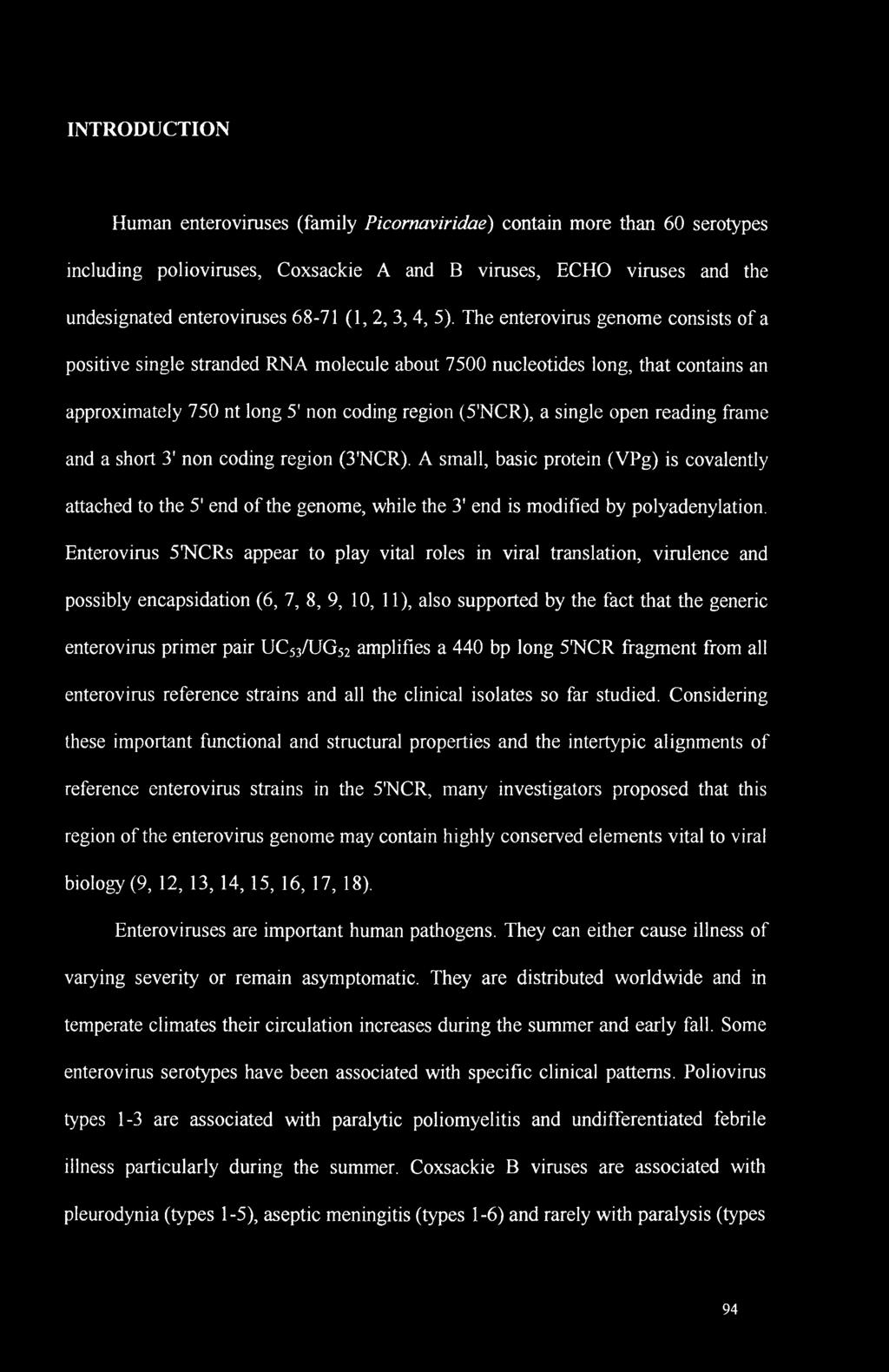 The enterovirus genome consists of a positive single stranded RNA molecule about 7500 nucleotides long, that contains an approximately 750 nt long 5' non coding region (5'NCR), a single open reading