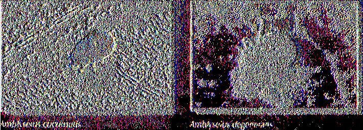 χρησιμοποιούντο!