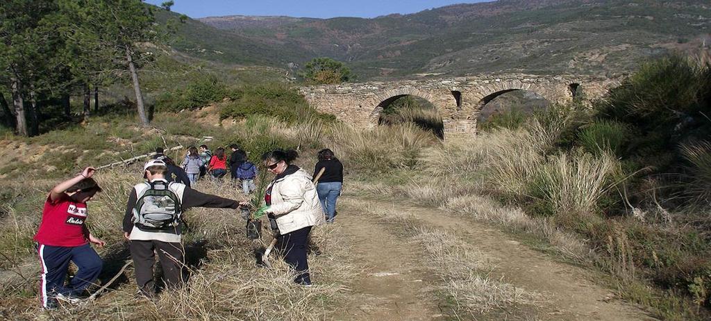 «Μονοπάτια της πέτρας και του δάσους στον Κίσσαβο» (Μονοήμερο) Δράσεις του προγράμματος