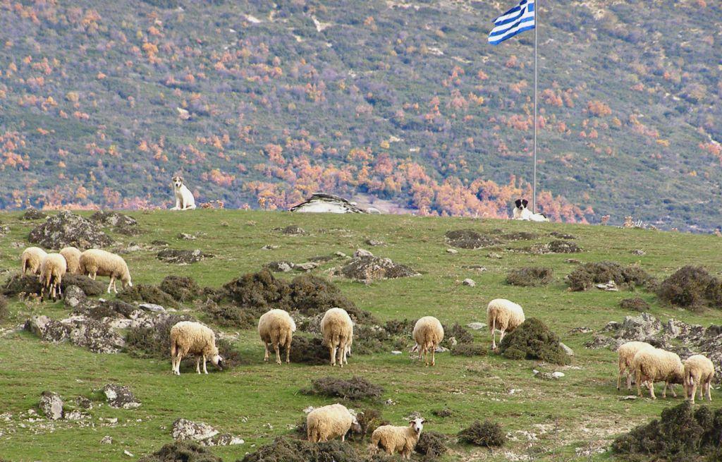 τριπολίτιδας και σε παραδοσιακούς οικισμούς του Ολύμπου.