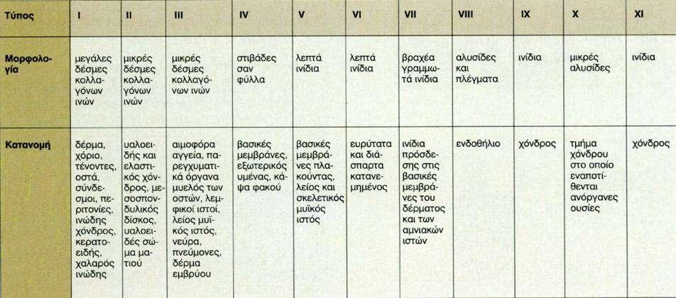 Μοριακοί