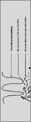 et al, Am J Hum Genet 1998) Διαφορά στο μέγεθος εμβρυϊκού & μητρικού cffdna εμβρυϊκό cfdna: 80%<193 bp, 100%<300