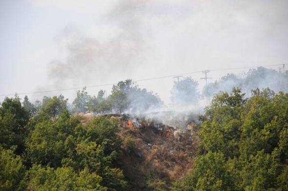 όταν πια έχει γεράσει και δεν είναι παραγωγικό (φωτιές από φυσικά αίτια).