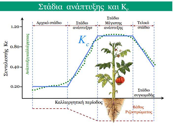 καλλιέργειας Kc είναι παράμετρος για την οποία τιμές δόθηκαν από το Τμήμα Γεωργίας στην Κύπρο (Πίνακας 4.1). Εικόνα 4.1: Στάδια ανάπτυξης και Κc. Πηγή: Αλεξανδρής Σ. Πίνακας 4.