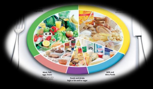 Level 3 Diet + Phenotype + Genetic (L1+L2+L3) Celis-Morales, C., et al.