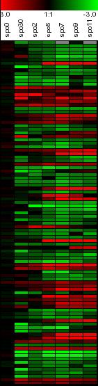 ανάλογης αύξουσας έντασης, ενώ κύτταρα με αυξανόμενα αρνητικά log ratios, με πράσινο ανάλογης αύξουσας έντασης. Για τιμές οι οποίες απουσιάζουν το χρώμα το οποίο θα εμφανίζεται είναι το γκρι.