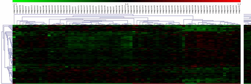 Εικόνα 5: απεικόνιση των 50 γονιδίων που προκύπτουν απευθείας από την 1 η στο σύνολο των δεδομένων της Van t Veer εφαρμογή του