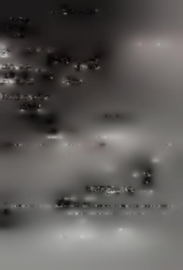 'O/ifei.