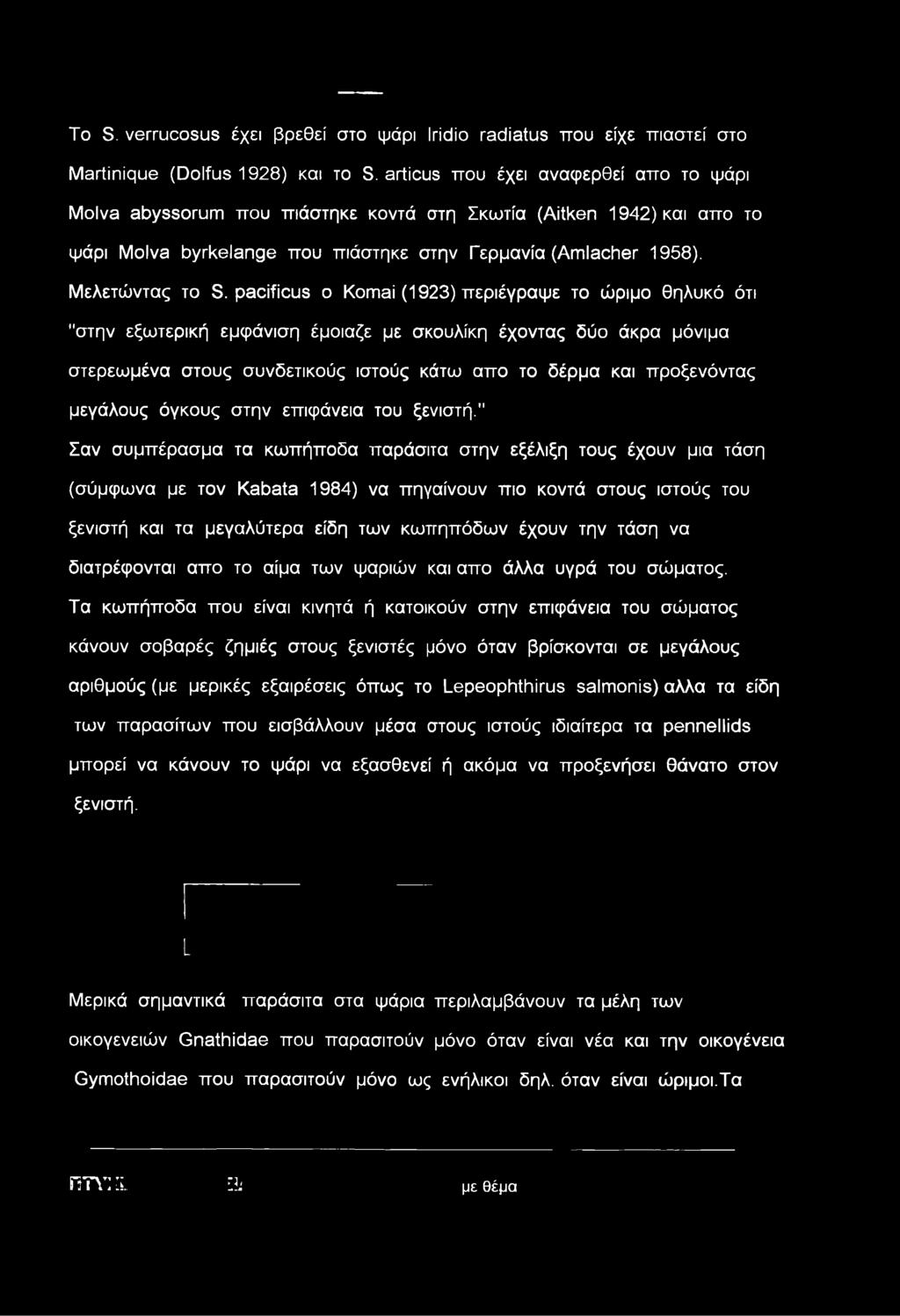 pacificus ο Komai (1923) περιέγραψε το ώριμο θηλυκό ότι "στην εξωτερική εμφάνιση έμοιαζε με σκουλίκη έχοντας δύο άκρα μόνιμα στερεωμένα στους συνδετικούς ιστούς κάτω απο το δέρμα και προξενόντας