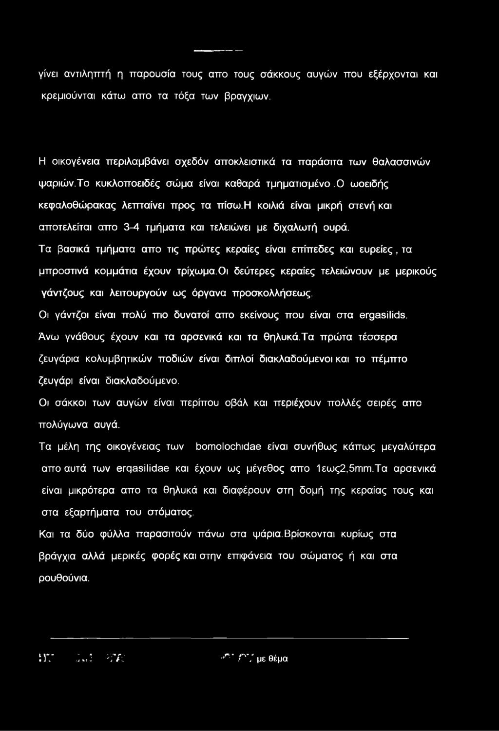 Τα βασικά τμήματα απο τις πρώτες κεραίες είναι επίπεδες και ευρείες, τα μπροστινά κομμάτια έχουν τρίχωμα.οι δεύτερες κεραίες τελειώνουν με μερικούς γάντζους και λειτουργούν ως όργανα προσκολλήσεως.