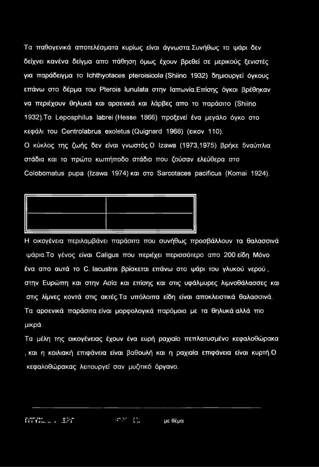 lunulata στην Ιαπωνία. Επίσης όγκοι βρέθηκαν να περιέχουν θηλυκά και αρσενικά και λάρβες απο το παράσιτο (Shiino 1932).