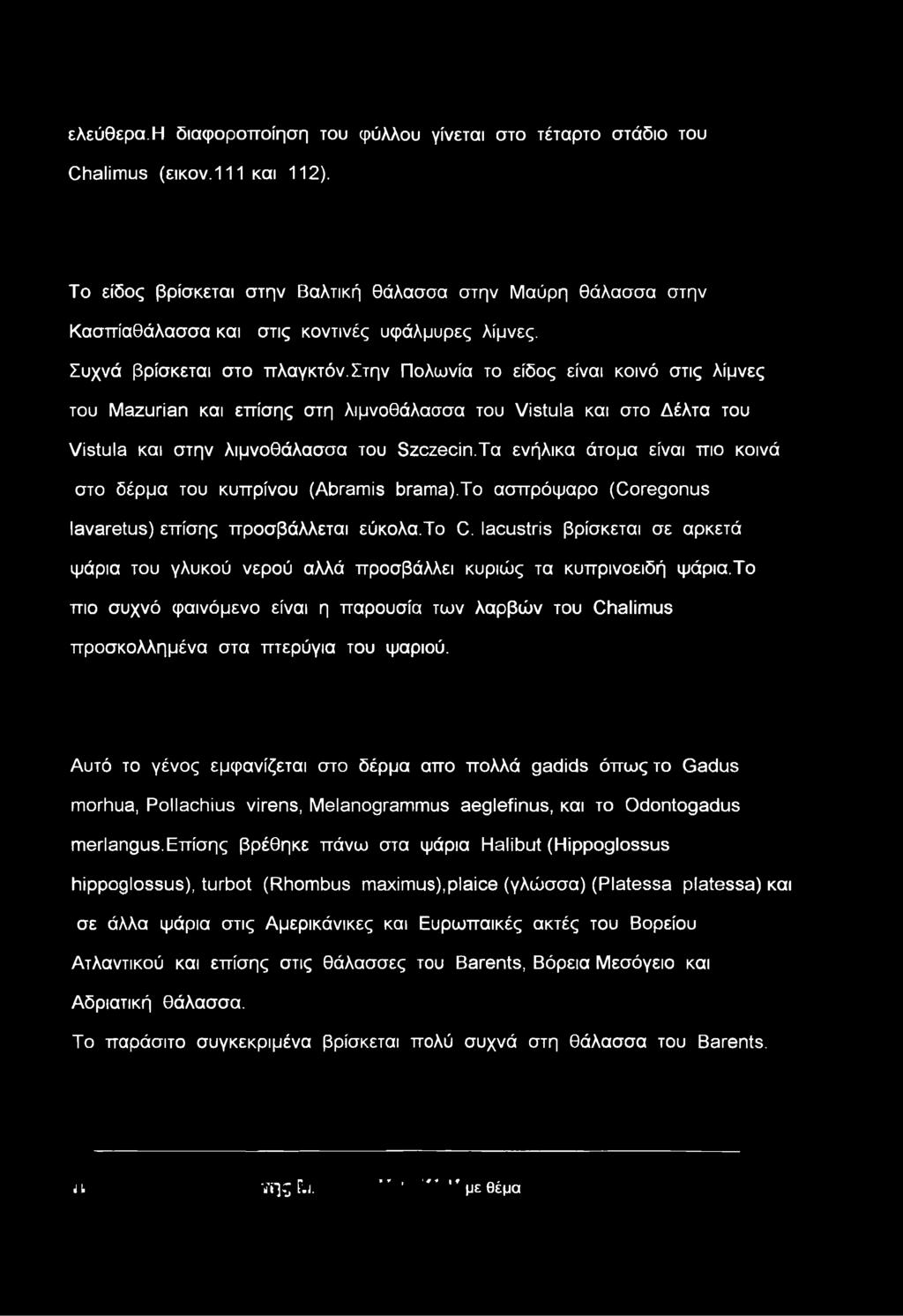 στην Πολωνία το είδος είναι κοινό στις λίμνες του Mazurian και επίσης στη λιμνοθάλασσα του Vistula και στο Δέλτα του Vistula και στην λιμνοθάλασσα του Szczecin.