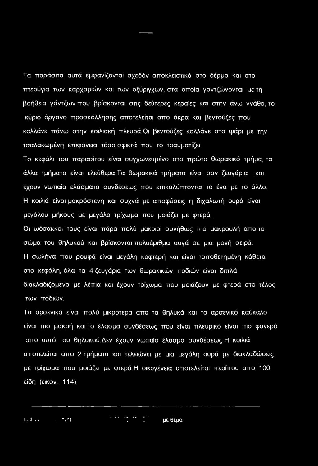 Οι βεντούζες κολλάνε στο ψάρι με την τσαλακωμένη επιφάνεια τόσο σφικτά που το τραυματίζει. Το κεφάλι του παρασίτου είναι συγχωνευμένο στο πρώτο θωρακικό τμήμα, τα άλλα τμήματα είναι ελεύθερα.