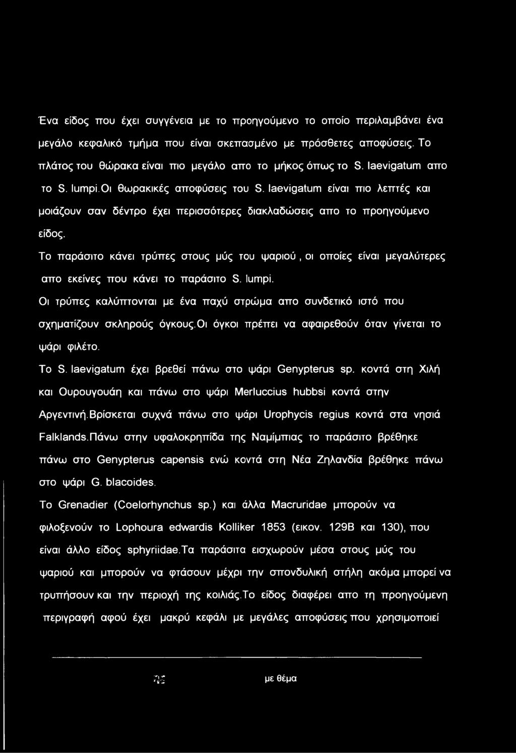Ένα είδος που έχει συγγένεια με το προηγούμενο το οποίο περιλαμβάνει ένα μεγάλο κεφαλικό τμήμα που είναι σκεπασμένο με πρόσθετες αποφύσεις.