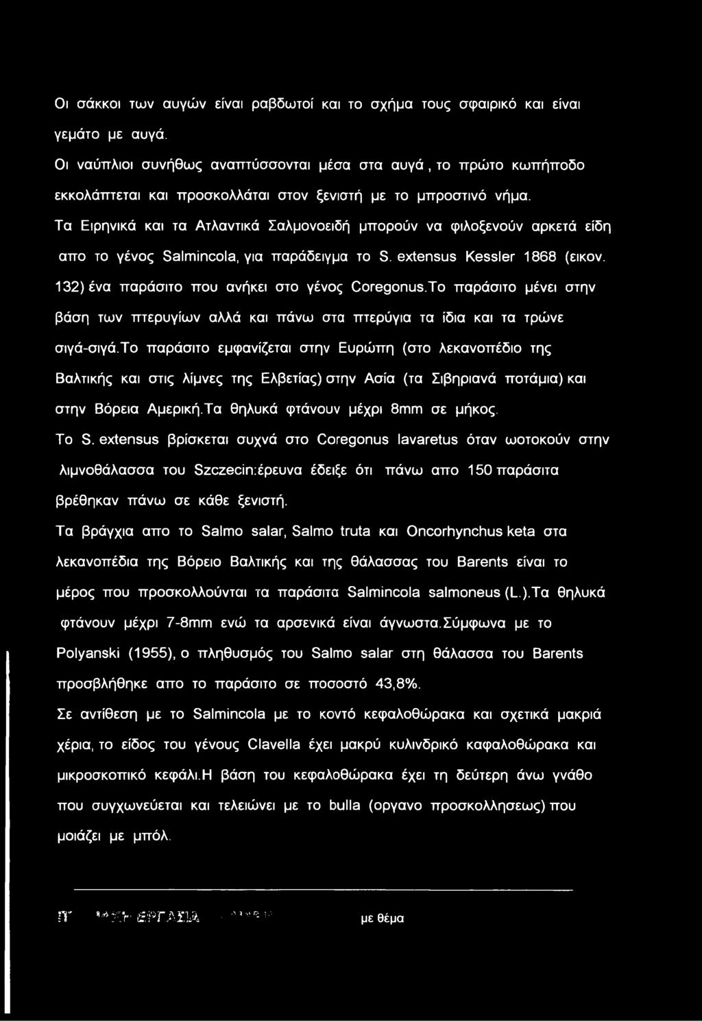 Τα Ειρηνικά και τα Ατλαντικά Σαλμονοειδή μπορούν να φιλοξενούν αρκετά είδη απο το γένος Salmincola, για παράδειγμα το S. extensus Kessler 1868 (εικον. 132) ένα παράσιτο που ανήκει στο γένος Coregonus.