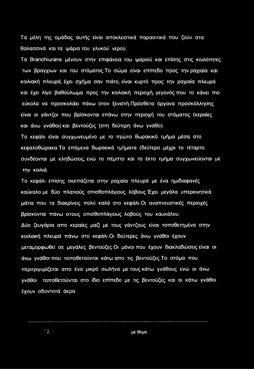 το σώμα είναι επίπεδο προς την ραχιαία και κοιλιακή πλευρά, έχει σχήμα σαν πιάτο, είναι κυρτό προς την ραχιαία πλευρά και έχει λίγο βαθούλωμα προς την κοιλιακή περιοχή, γεγονός που το κάνει πιο