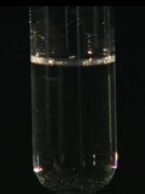 2 KCl (aq) CaCl 2(aq) + 2 KNO 3(aq) Διαυγές υγρό Κιμωλία Φυσαλίδες β)